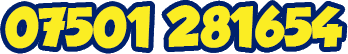 07501 281654